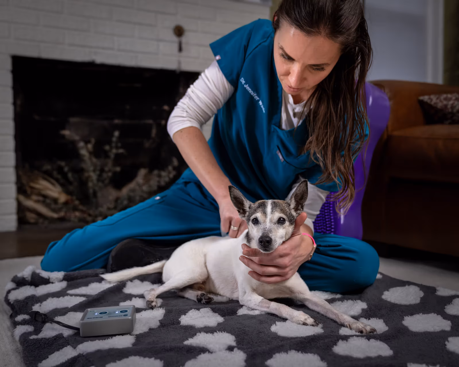 Dr. Jennifer Wade guiding a dog through a therapeutic exercise at home